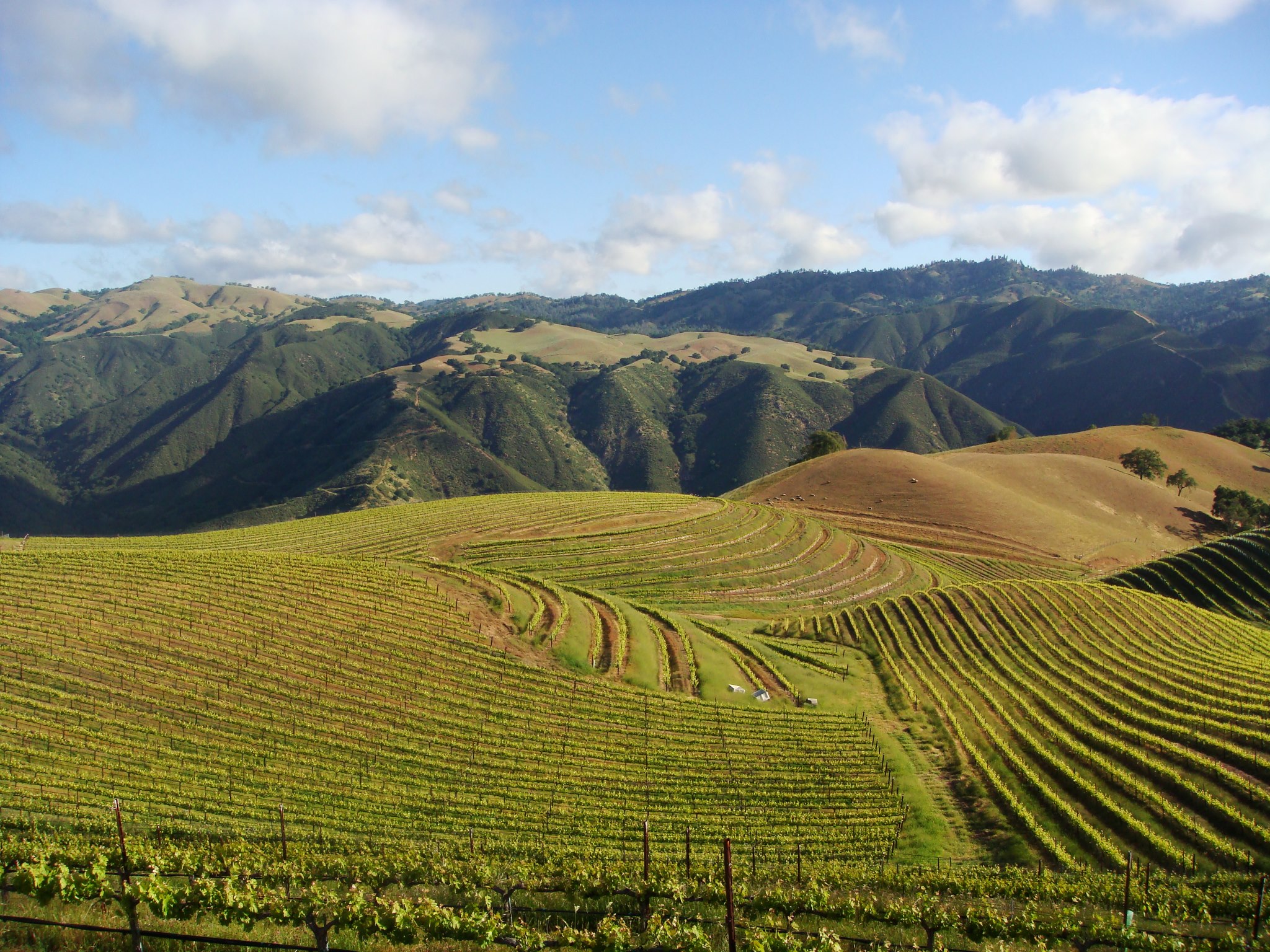 Coastview Lands in Carmel Valley Village Edible Monterey Bay