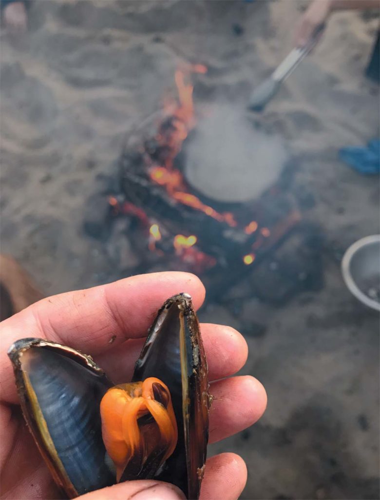 MUSSELS ON THE BEACH Edible Monterey Bay