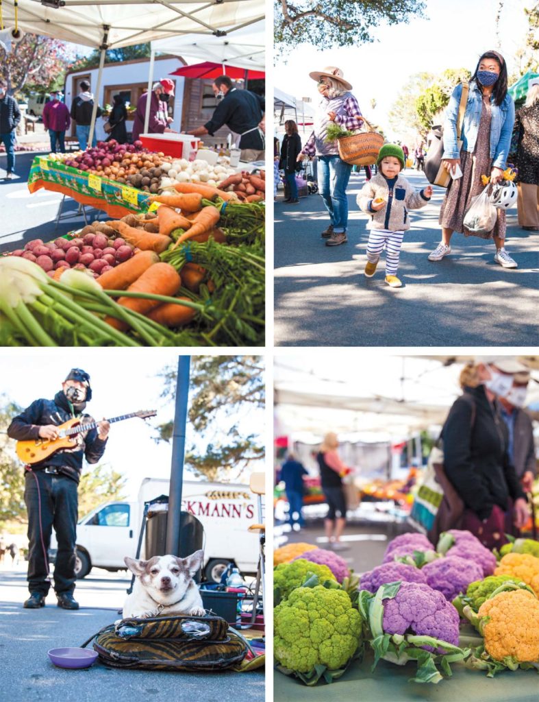FRIENDLY POSH Edible Monterey Bay