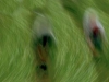 photo01