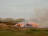 photo02