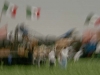 photo13